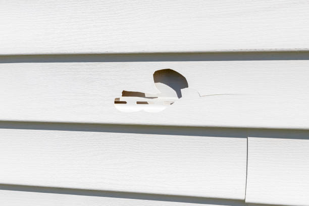 Best Custom Trim and Detailing for Siding  in Ackerman, MS